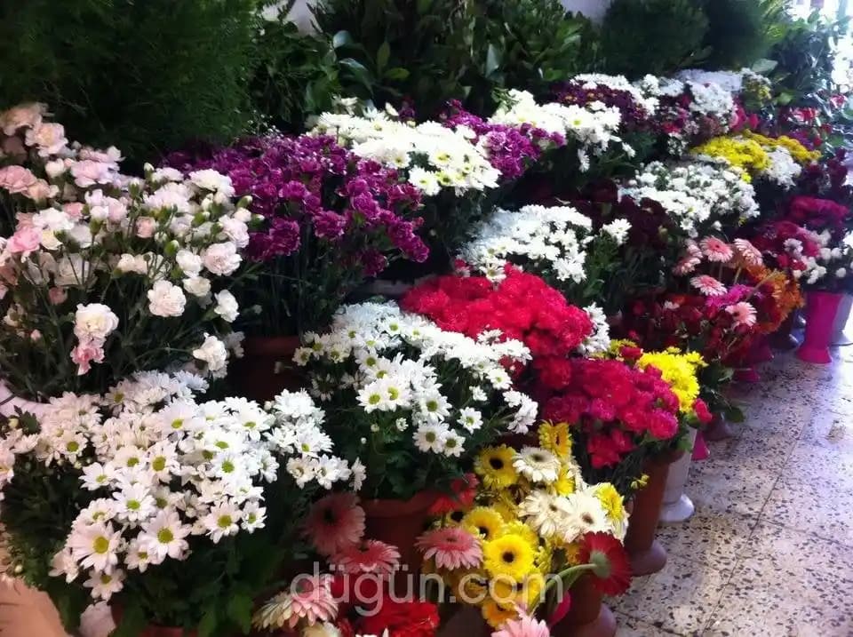 Demet Çiçeklerle Ev ve Ofis Dekorasyonunda Zarif ve Canlı Dokunuşlar