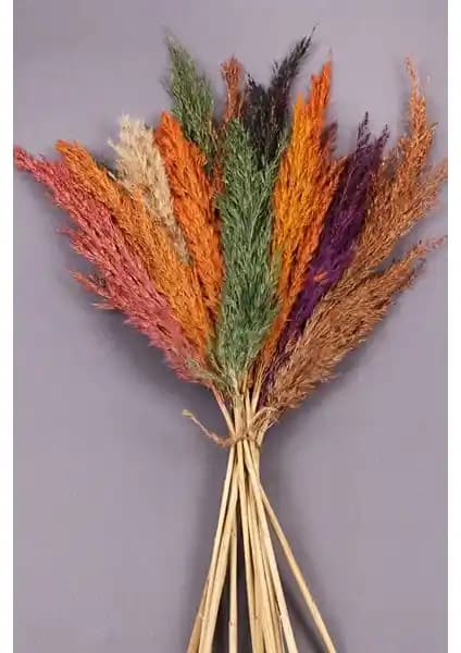 Alyones Kuru Çiçek Pampas: Doğal ve Şık Dekorasyon İçin Modern Bir Seçenek