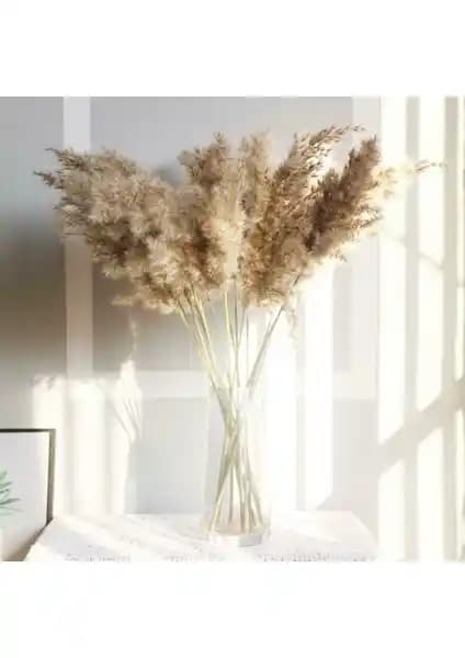 Yapay Pampas Çiçekler ile Şık ve Dayanıklı İç Mekan Dekorasyonu Nasıl Yapılır