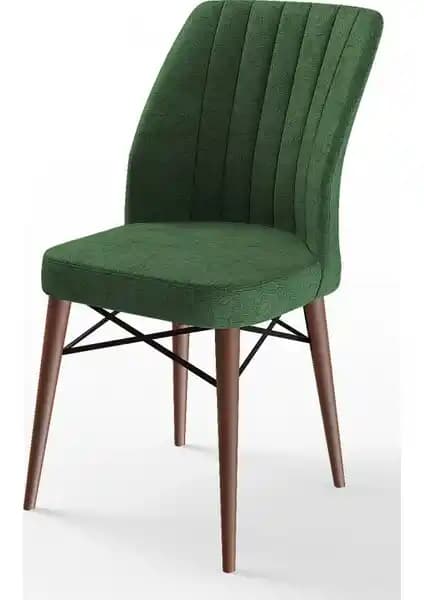 Canisa Concept Flex Serisi Gürgen Ayaklı Modern Sandalye Ürün Tanıtımı ve Özellikleri