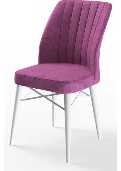 Canisa Flex Serisi Gürgen Ayaklı Modern ve Dayanıklı Sandalye Özellikleri ve Kullanım Avantajları