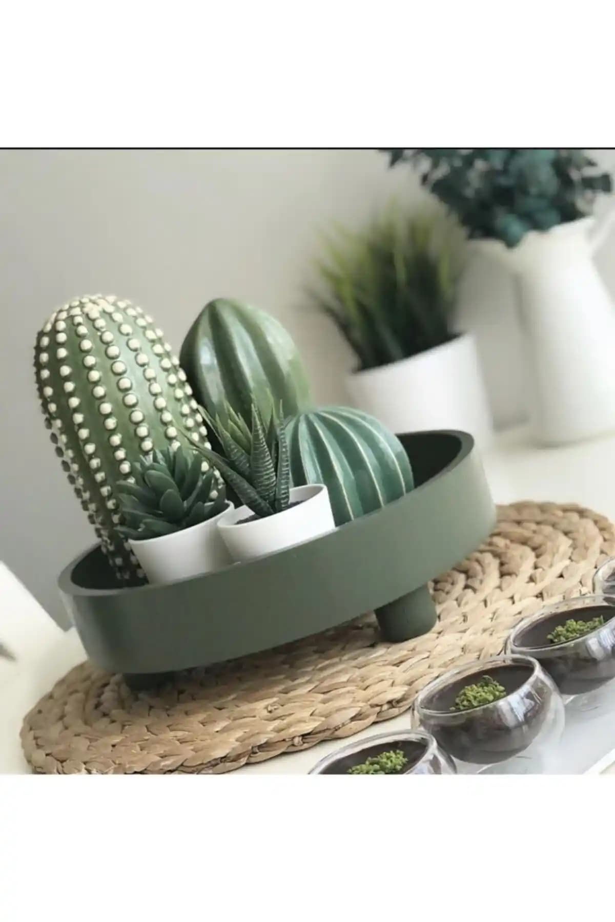 Kokosh Home 3 Lü Dekoratif Kaktüs İncelemesi: Şıklığı Yakalayın