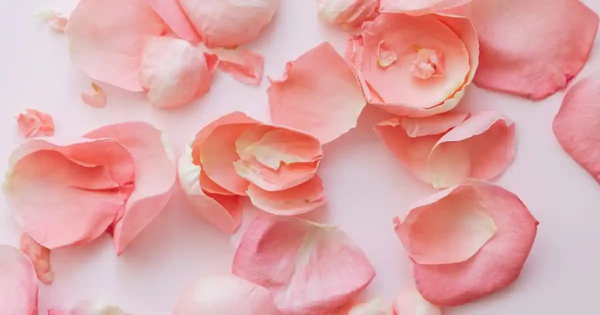 Atatürk Portresi Tabloları ile Mekanlarınıza Tarih ve Saygı Katın