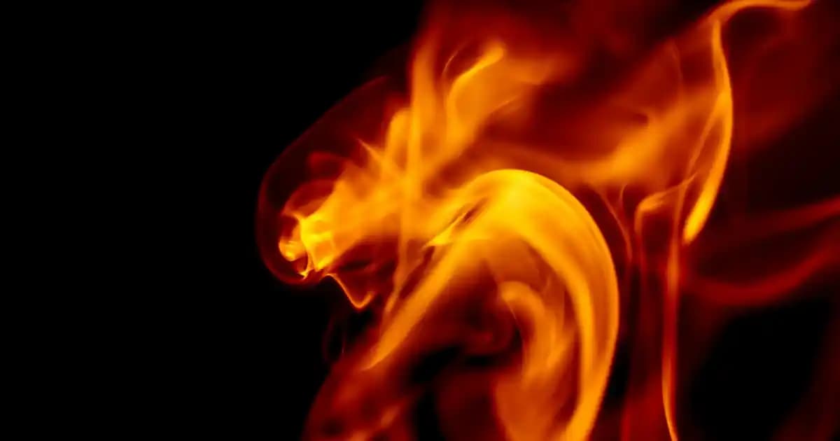 King Halı Yıkama Makinesi ile Temizlik ve Dekorasyonda Yeni Dönem