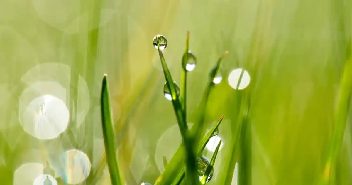 Moment Çerçevesi Nedir ve Dekorasyonda Kullanım Alanları Hakkında Detaylı Bilgi