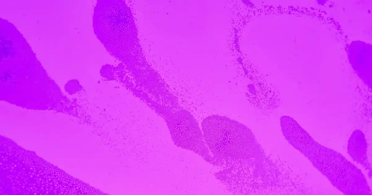 Tv Ünitesi Bibloları ile Dekorasyonunuzu Yenileyin Modern ve Şık Tasarımlarla Oturma Odalarınıza Estetik Katın