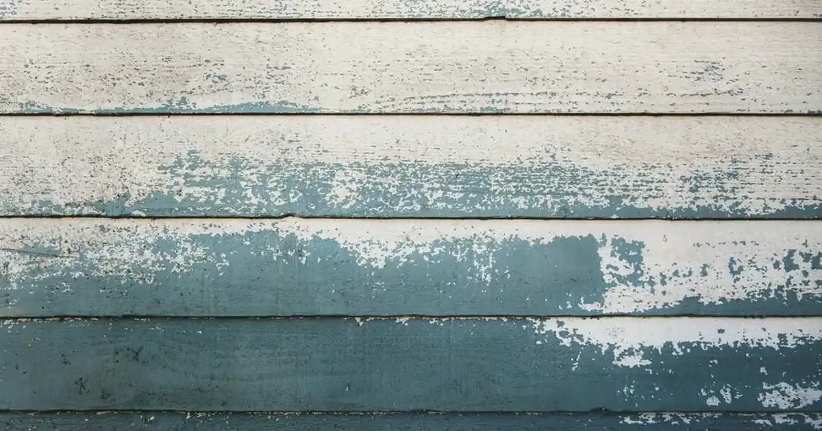 Büyük Yer Biblolarıyla Dekorasyonda Estetik ve Anlam Yaratma Rehberi