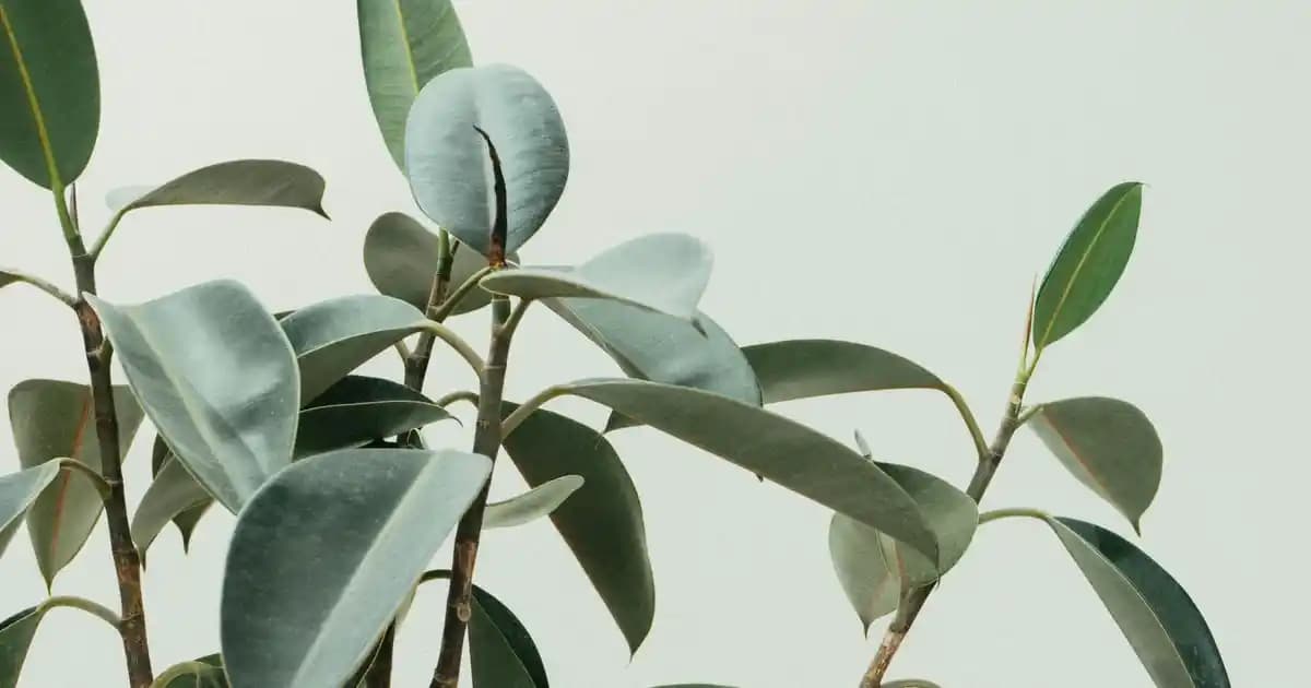 Modern Dekorasyon ile Uyumlu Çelik Çay Makinesi Modelleri ve Tasarım Özellikleri