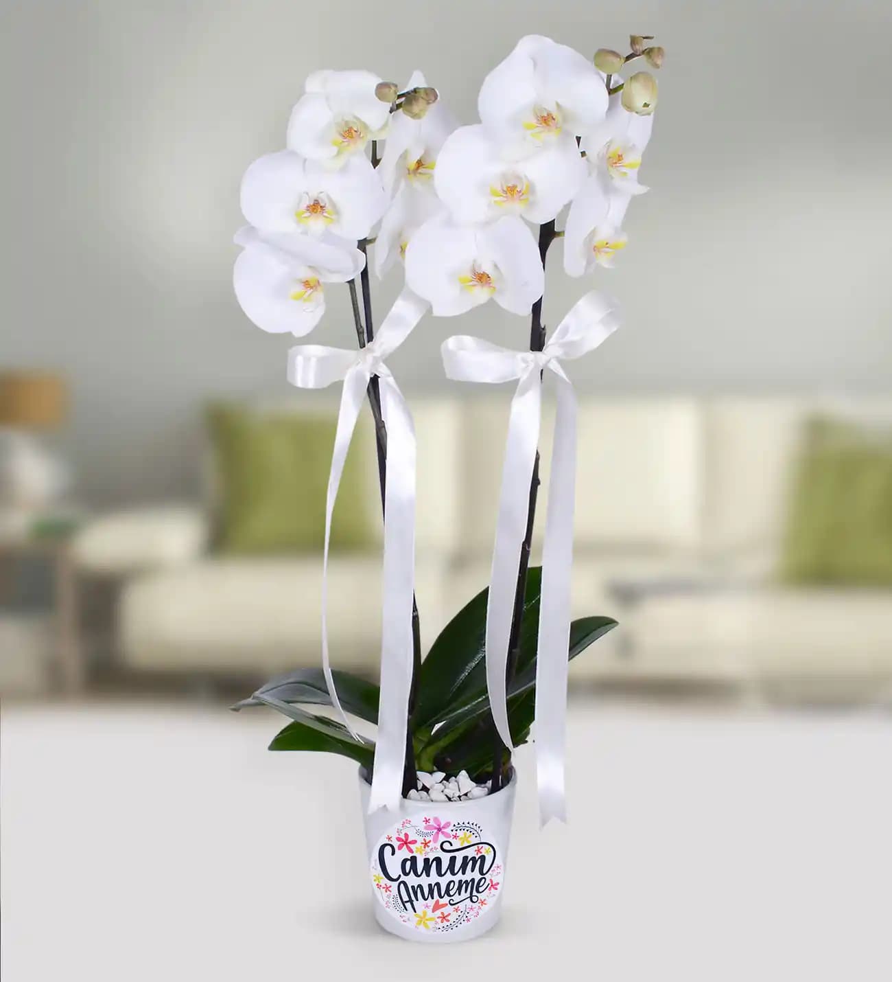 Orkide Dekorasyonda Zarafetin Simgesi: Çiçek Sepeti'nde En Güzel Çeşitler